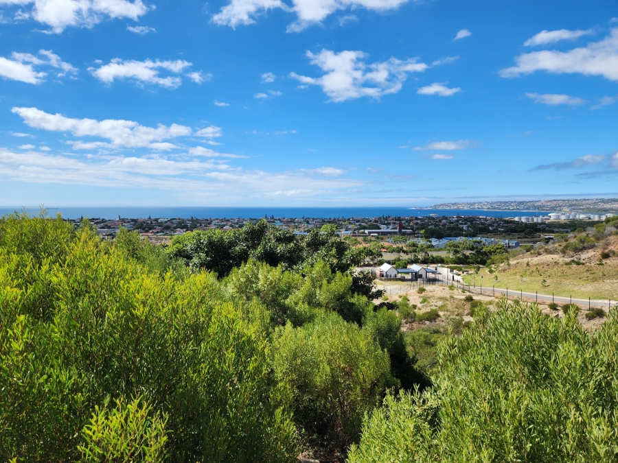 0 Bedroom Property for Sale in Menkenkop Western Cape